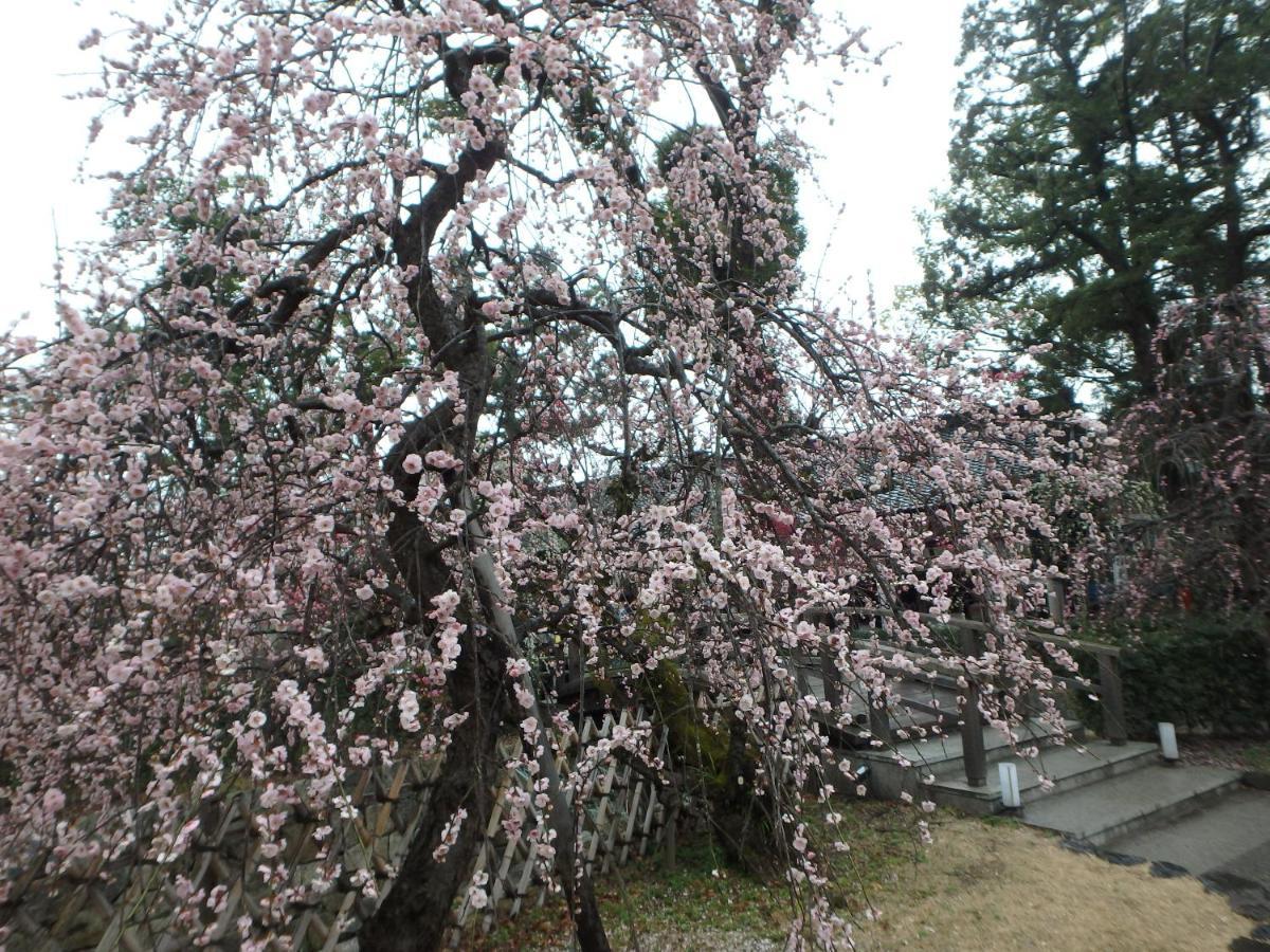 Hotel Kyo No Yado Nishioji Kyōto Esterno foto